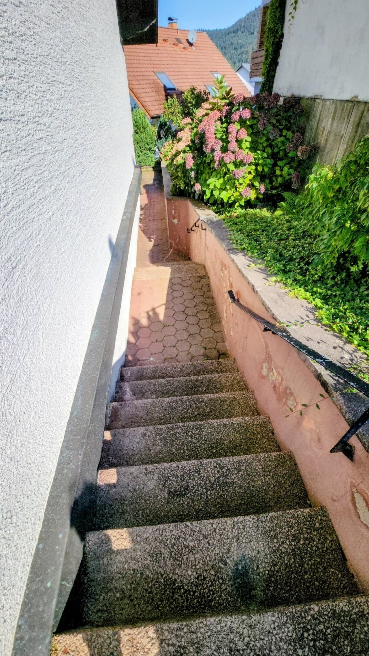 Charmanter Seiteneingang: Naturstein-Treppe mit romantischer Begrünung und Bergpanorama
